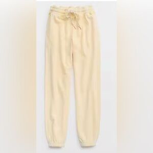 NWOT Aerie Big Chill Jogger